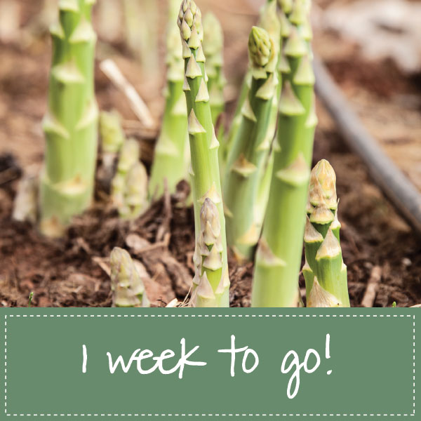 countdown image