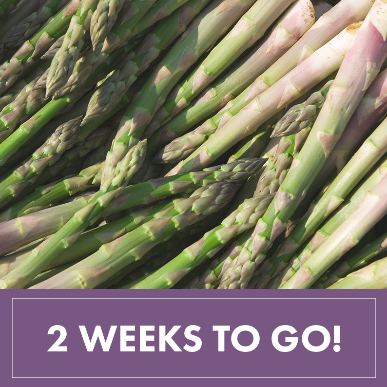 countdown image